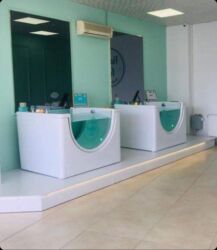 Cakuzi vannalar: Yeni Cakuzi vanna Motorlu, Pulsuz çatdırılma -da lalafo.az — 21 Cakuzi vannalar: Yeni Cakuzi vanna Motorlu, Pulsuz çatdırılma — 21