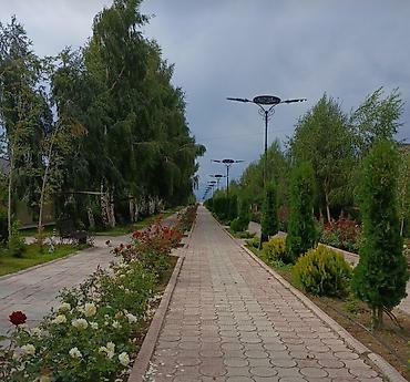bai villa: 1 комната, 42 м², Элитка, 2 этаж, Старый ремонт — 3