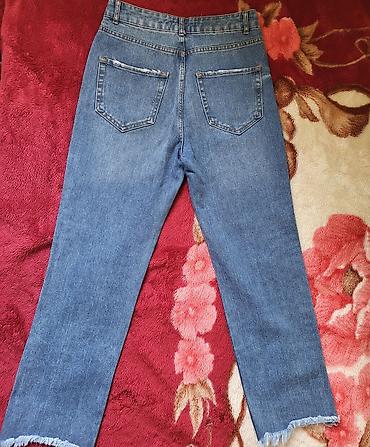 Cinslər: Cinslər, Zara, M — 2