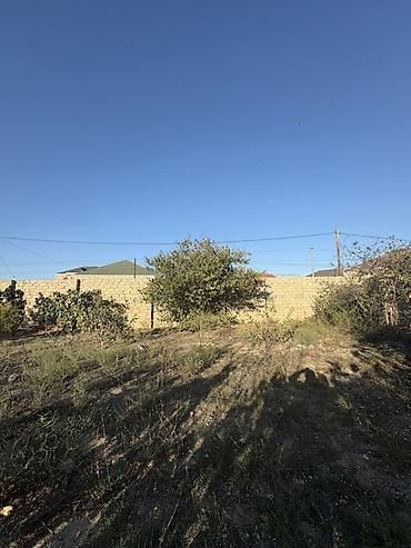 bina az mingecevir: 10 sot, Tikinti, Barter mümkündür, Müqavilə — 5
