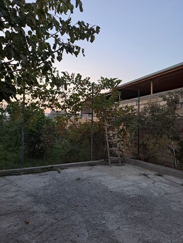 Uzunmüddətli kirayə evlər: Günəşli bağ massivi 8 ci küçə 20 nömrəli məktəbə yaxın, 7 sotun içində — 7