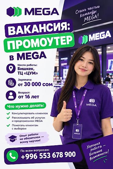 Вакансия: Промоутер в MEGA Место работы: Бишкек, ТЦ «ЦУМ» Заработная