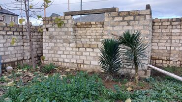 Torpaq sahələrinin satışı: 10 sot, Tikinti, Barter mümkündür, Kupça (Çıxarış) — 6