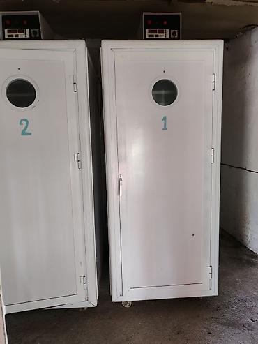 2 tekerli araba: Sənaye tipli inqubator satılır. Tutumu 2200 yumurtalıqdı. Toyuq — 2