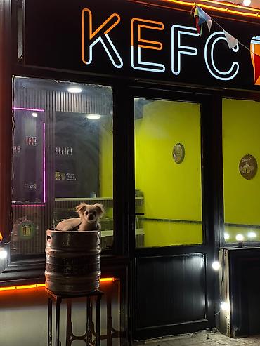 barber reklam: KEFÇİ – küçə barı / pivə və qəlyanaltı nöqtəsi üçün cəlbedici neon — 1