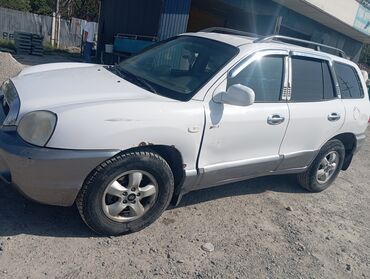 бак для даф: Hyundai Santa Fe: 2004 г., 1.9 л, Автомат, Дизель, Универсал