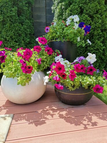 Горшки для растений: Горшки и вазы, Вазоны для дома и сада ручной работы.Дизайн цвет и