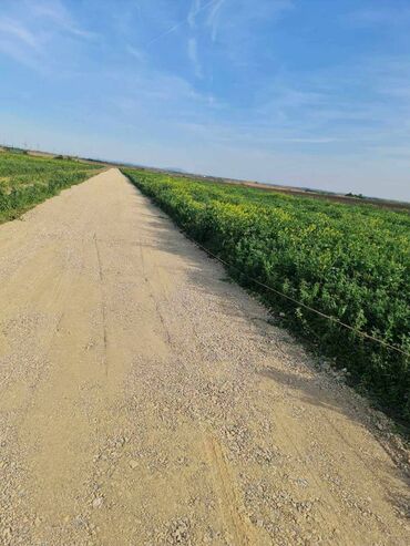 haljina icine placanje pouzecem: 5000 ares, Građevinarstvo