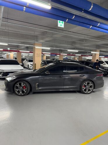 Kia: Kia : 2019 г., 2 л, Бензин — 4