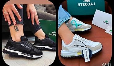 lacoste нови сад – слике: Turske lacoste od 36 do 44 za samo 
4900 din — 5