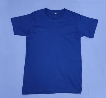 Футболки: Однотонные Футболки Плотность 300 г. / м Colour Футболки Оптом — 21
