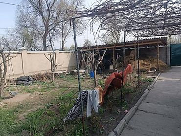 Продажа коттеджей и домов: Продаются Дом адрес Кара балта улица Фрунзенская цена 6600.000 участок — 13