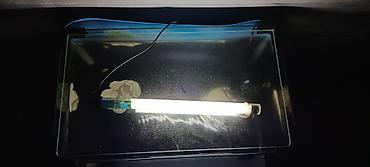 Akvariumlar: Dördbucaq akvarium, Boş, 33 l, Ünvandan götürmə — 4