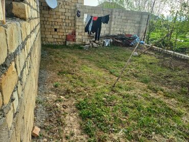 Torpaq sahələrinin satışı: 3 sot, Tikinti, Mülkiyyətçi, Kupça (Çıxarış) -da lalafo.az — 6 Torpaq sahələrinin satışı: 3 sot, Tikinti, Mülkiyyətçi, Kupça (Çıxarış) — 6