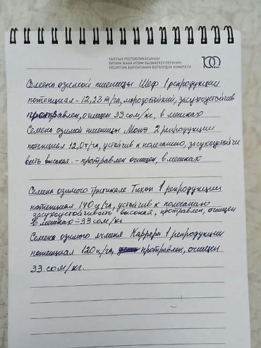 Семена зерновых культур (очищены, протравлены), фасовка в мешках at lalafo.kg Семена зерновых культур (очищены, протравлены), фасовка в мешках