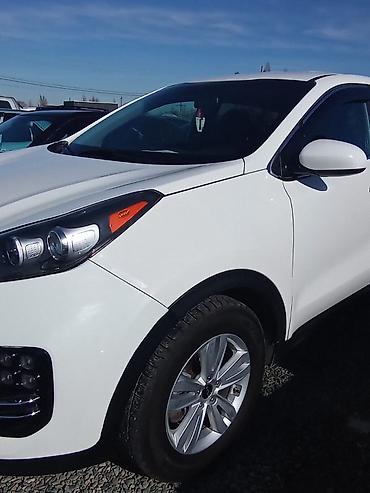 Kia: Kia Sportage: 2018 г., 2.4 л, Автомат, Бензин, Кроссовер — 3