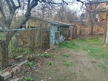 bişkekdə sahələri: 7 sot, Tikinti, Mülkiyyətçi
