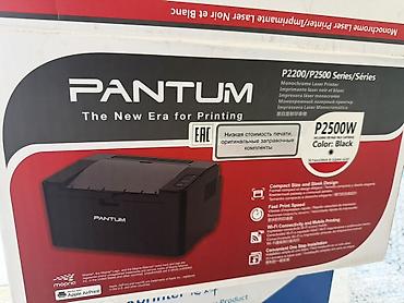 Принтеры: Pantum P2500W — монохромный лазерный принтер серии P2200/P2500, цвет — 1
