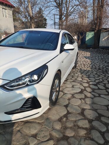 саната нюрайс: Hyundai Sonata: 2018 г., 2 л, Автомат, Газ, Седан