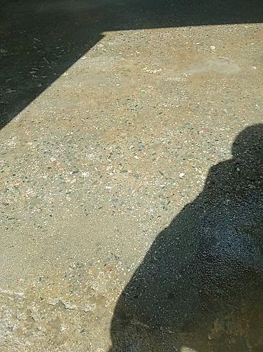 Шлифовочные работы: Шлифовка пола Больше 6 лет опыта — 4