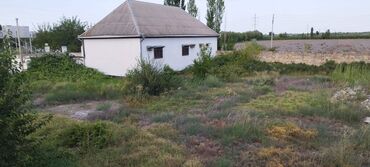 Torpaq sahələrinin satışı: 30 sot, Kənd təsərrüfatı, Mülkiyyətçi, Kupça (Çıxarış) — 3