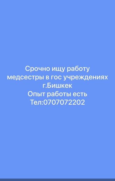 я ищу работу в оше: Медайым