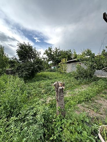 4: 📌В селе Беловодское срочно продаётся дом на участке 8,5 соток. ▪️Дом — 10