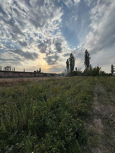 30: 30 соток, Для бизнеса — 7