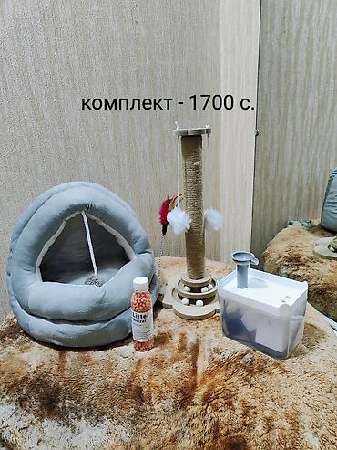 Зоотовары: Зоотовары для кошек: все товары по приемлемой цене! 1) Домик-лежанка — 10