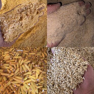 рисовый отрубь: Продаю арпа жем ячмень дроблённый в мешках отруби кебек с погруской и