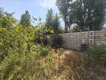 Torpaq sahələrinin satışı: 10 sot, Kənd təsərrüfatı, Mülkiyyətçi — 9