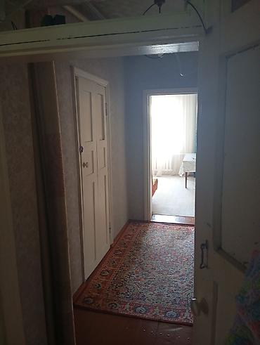 Деревянные штакетники: Деревянные штакетники, Покраска забора — 23