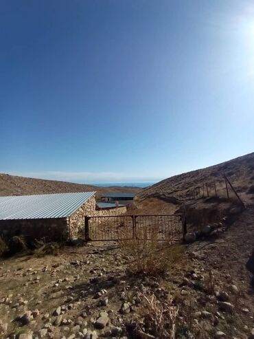 Продажа участков: 1800 соток, Для бизнеса, Красная книга at lalafo.kg — 10 Продажа участков: 1800 соток, Для бизнеса, Красная книга — 10