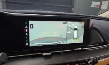 Kia: Kia Carnival: 2020 г., 2.2 л, Автомат, Дизель, Минивэн — 11