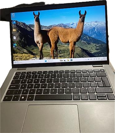 xiaomi lite 14: İşlənmiş Dell Latitude, 14 ", Intel Core i5, 256 GB, Pulsuz çatdırılma, Ödənişli çatdırılma, Rayonlara çatdırılma — 2