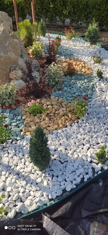 Dekorativ daşlar: Tam təbii Dekorativ ağ daşlar. Ağ və müxtəlif rənglərdə mövcuddur -da lalafo.az — 6 Dekorativ daşlar: Tam təbii Dekorativ ağ daşlar. Ağ və müxtəlif rənglərdə mövcuddur — 6