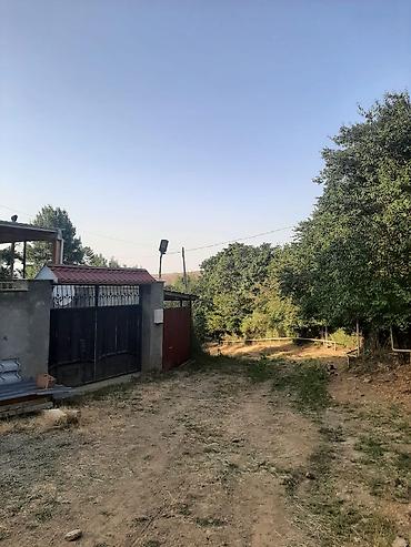qobuda ev satisi: 250 kv. m, 2 otaqlı, Qaz — 10