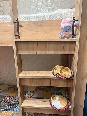 mebel sandiqlar: İki mərtəbəli uşaq çarpayısı – təbii ağac teksturalı, isti açıq palıd — 3