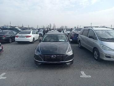 sonata 2012: Hyundai Sonata: 2020 г., 2 л, Автомат, Газ, Седан — 2
