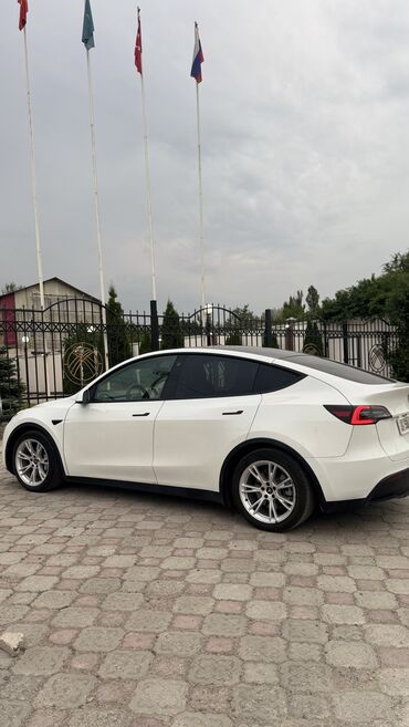 tesla машина: 🚘 Продаётся Tesla Model Y | 2021 год 🚘 💥 Электромобиль будущего –