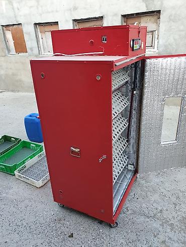 инкубаторы для яиц: Yeni inkubatordur. Ümumi 840 yumurta tutumu var. Fermer təsərrüfatı və — 7