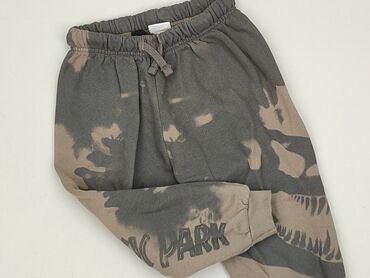 Sweatpants, Zara, 3-4 years, 98/104, condition - Very good