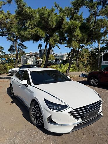 kia spektra: Hyundai Sonata: 2020 г. — 1
