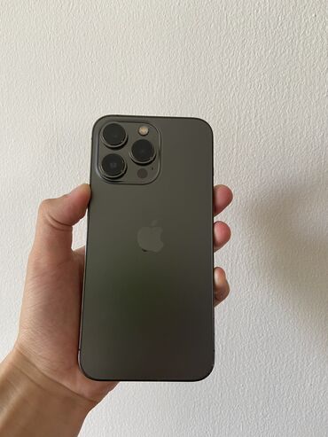 Apple iPhone: IPhone 13 Pro, Б/у, 256 ГБ, Graphite, Защитное стекло, Чехол, 81 %