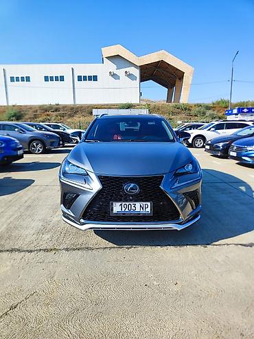 yamaha neos: Lexus NX: 2020 г., 2 л, Автомат, Бензин — 2