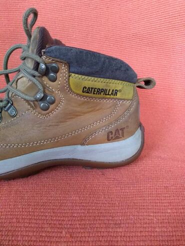 Gležnjače: Gležnjače, 38.5 na lalafo.rs — 3 Gležnjače: Gležnjače, 38.5 — 3