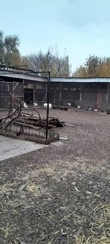 Продажа домов: Дом, 150 м², 5 комнат, Собственник, Евроремонт — 14