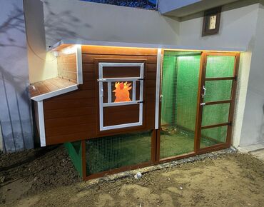 Yuvalar: Tuyuq yuvası Hin sifarişlə hazırlanması istənilən ölçüdə tam — 4