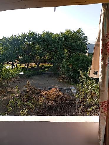 Другие удобства для дома и сада: Другие удобства для дома и сада — 3