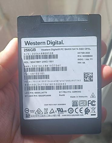 256 gb ssd: Western digital SA530 256GB ssd SATIRAM 🔊SSD 256GB 💚PROBEG TEXMINI 592 — 1